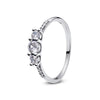 Anillos Aurelia